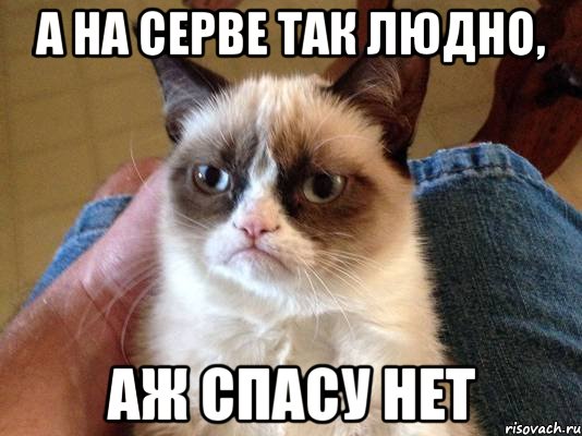 а на серве так людно, аж спасу нет, Мем grumpy