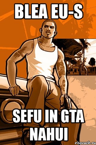 blea eu-s sefu in gta nahui, Мем GTA