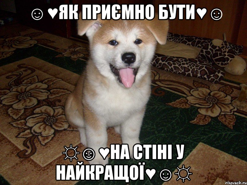 ☺♥як приємно бути♥☺ ☼☺♥на стіні у найкращої♥☺☼, Мем Хатико