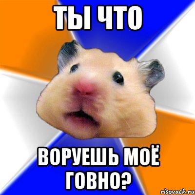 ты что воруешь моё говно?, Мем Хомяк