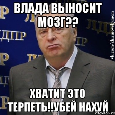 влада выносит мозг?? хватит это терпеть!!убей нахуй, Мем Хватит это терпеть (Жириновский)