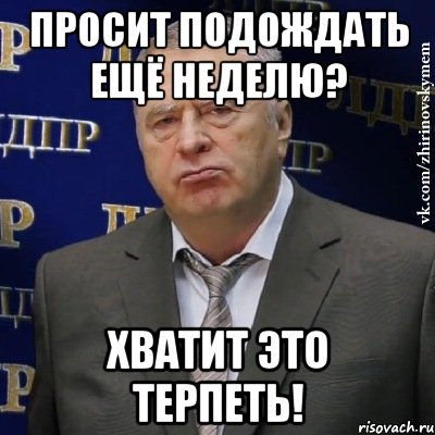 просит подождать ещё неделю? хватит это терпеть!, Мем Хватит это терпеть (Жириновский)