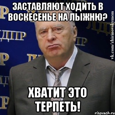 заставляют ходить в воскесенье на лыжню? хватит это терпеть!, Мем Хватит это терпеть (Жириновский)