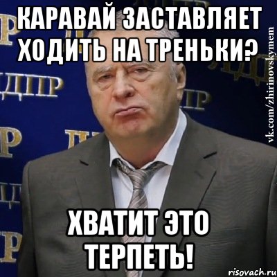 каравай заставляет ходить на треньки? хватит это терпеть!, Мем Хватит это терпеть (Жириновский)