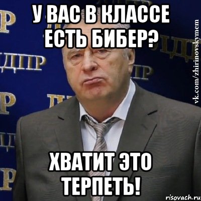 у вас в классе есть бибер? хватит это терпеть!, Мем Хватит это терпеть (Жириновский)