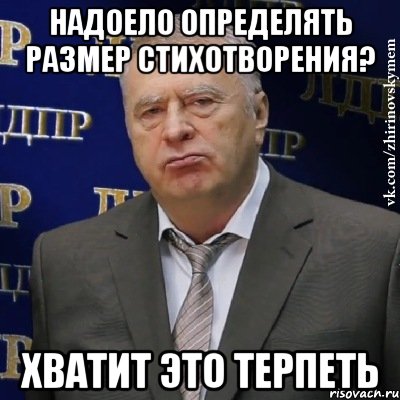 надоело определять размер стихотворения? хватит это терпеть, Мем Хватит это терпеть (Жириновский)