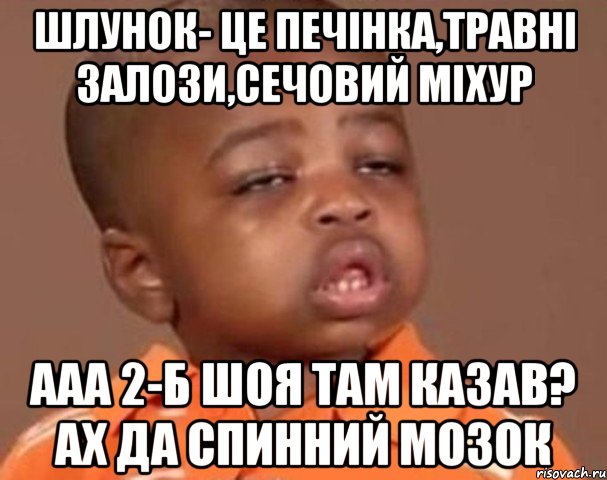 шлунок- це печінка,травні залози,сечовий міхур ааа 2-б шоя там казав? ах да спинний мозок, Мем  Какой пацан (негритенок)