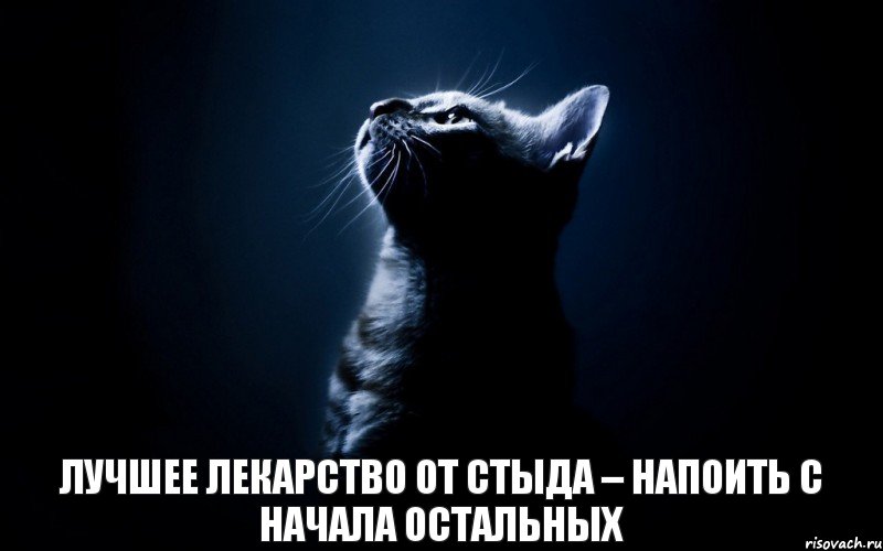 лучшее лекарство от стыда – напоить с начала остальных, Комикс кент