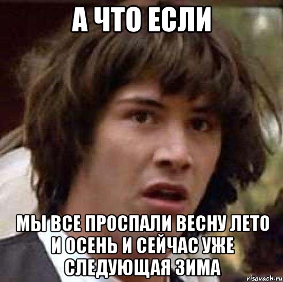 а что если мы все проспали весну лето и осень и сейчас уже следующая зима, Мем А что если (Киану Ривз)