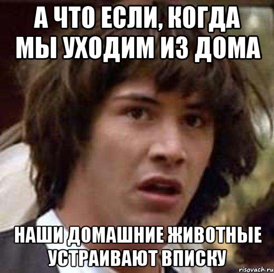 а что если, когда мы уходим из дома наши домашние животные устраивают вписку, Мем А что если (Киану Ривз)