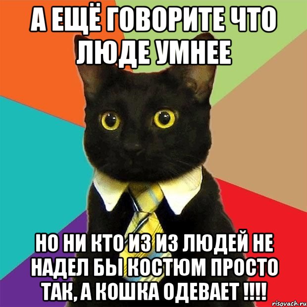 а ещё говорите что люде умнее но ни кто из из людей не надел бы костюм просто так, а кошка одевает !!!, Мем  Кошечка