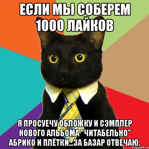 если мы соберем 1000 лайков я просуечу обложку и сэмплер нового альбома "читабельно" абрико и плётки...за базар отвечаю., Мем  Кошечка