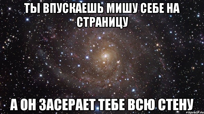 ты впускаешь мишу себе на страницу а он засерает тебе всю стену, Мем  Космос (офигенно)