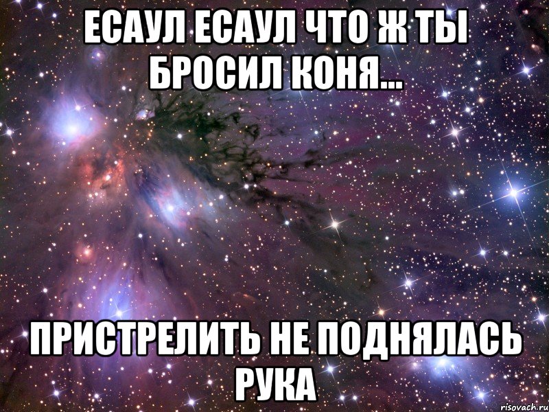 есаул есаул что ж ты бросил коня... пристрелить не поднялась рука, Мем Космос