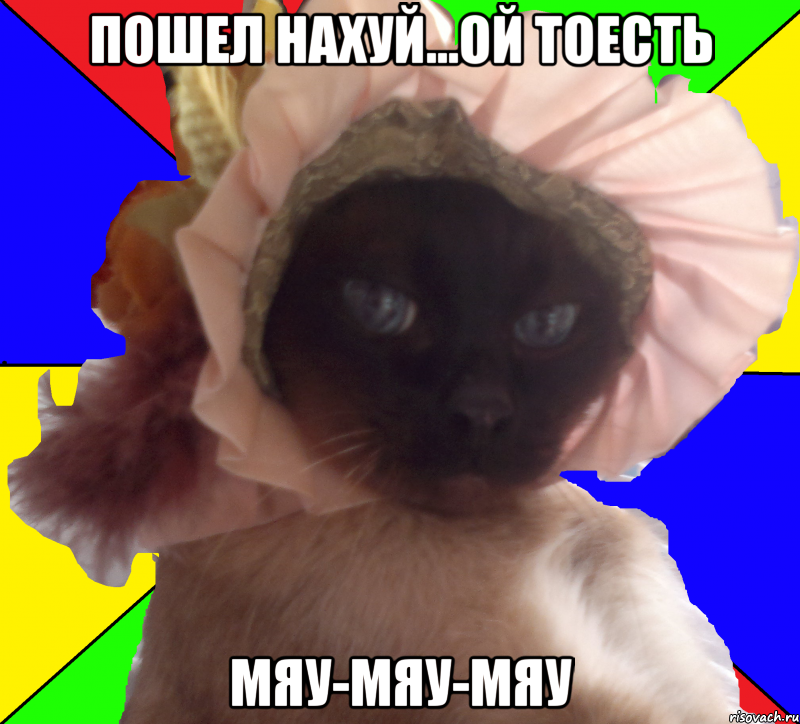 пошел нахуй...ой тоесть мяу-мяу-мяу, Мем Кот