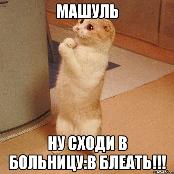 машуль ну сходи в больницу:в блеать!!!, Мем  котэ молится