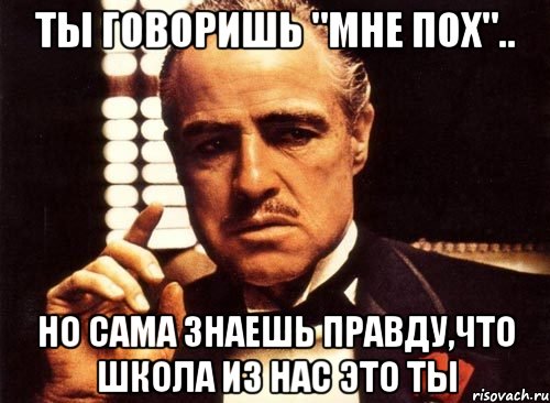 ты говоришь "мне пох".. но сама знаешь правду,что школа из нас это ты, Мем крестный отец