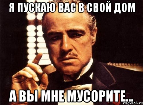 я пускаю вас в свой дом а вы мне мусорите..., Мем крестный отец