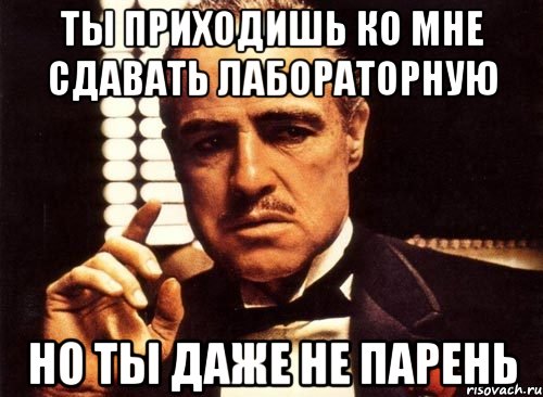 ты приходишь ко мне сдавать лабораторную но ты даже не парень, Мем крестный отец