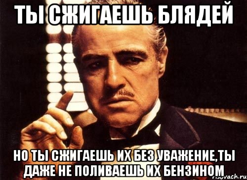 ты сжигаешь блядей но ты сжигаешь их без уважение,ты даже не поливаешь их бензином, Мем крестный отец