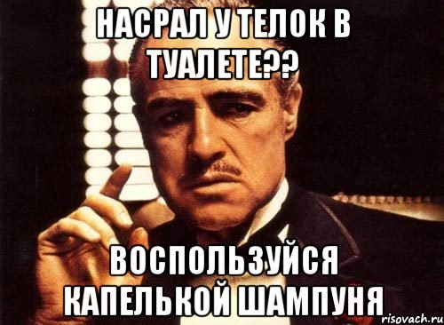 насрал у телок в туалете?? воспользуйся капелькой шампуня, Мем крестный отец