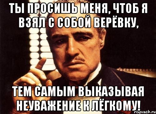 ты просишь меня, чтоб я взял с собой верёвку, тем самым выказывая неуважение к лёгкому!, Мем крестный отец