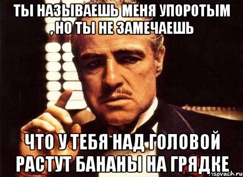 ты называешь меня упоротым , но ты не замечаешь что у тебя над головой растут бананы на грядке, Мем крестный отец