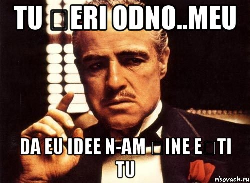 tu șeri odno..meu da eu idee n-am șine ești tu, Мем крестный отец