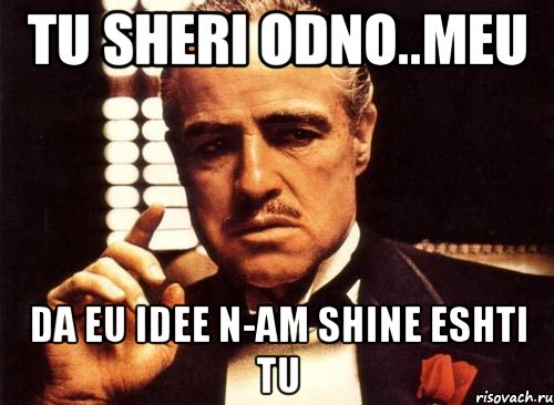 tu sheri odno..meu da eu idee n-am shine eshti tu, Мем крестный отец