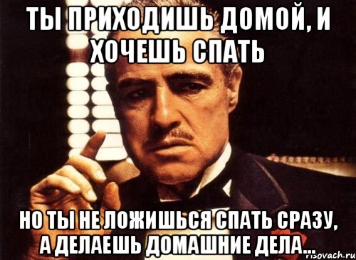 ты приходишь домой, и хочешь спать но ты не ложишься спать сразу, а делаешь домашние дела..., Мем крестный отец