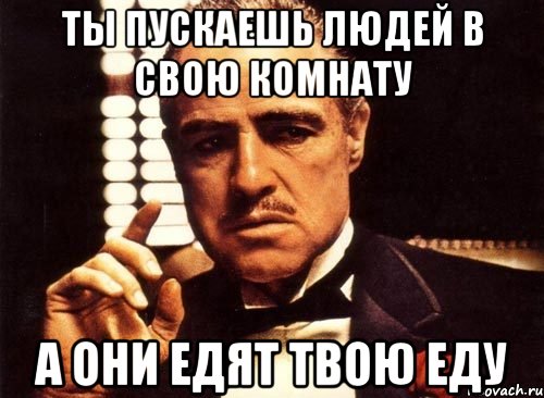 ты пускаешь людей в свою комнату а они едят твою еду, Мем крестный отец