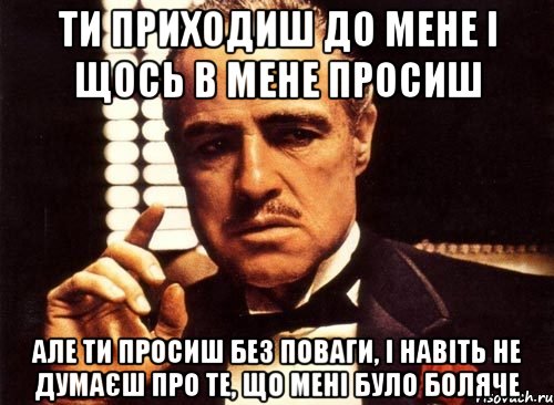 ти приходиш до мене і щось в мене просиш але ти просиш без поваги, і навіть не думаєш про те, що мені було боляче, Мем крестный отец