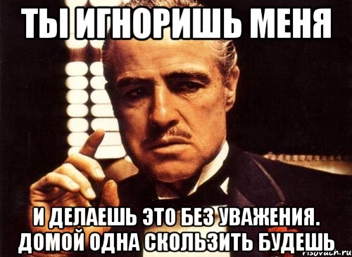 ты игноришь меня и делаешь это без уважения. домой одна скользить будешь, Мем крестный отец