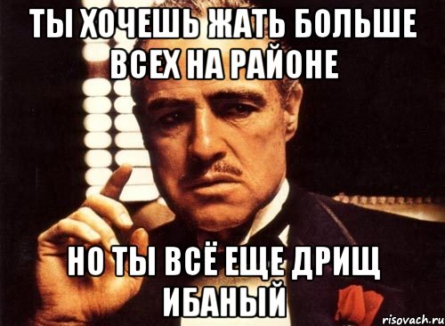 ты хочешь жать больше всех на районе но ты всё еще дрищ ибаный, Мем крестный отец