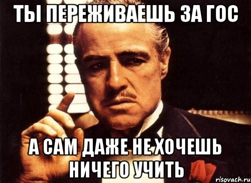 ты переживаешь за гос а сам даже не хочешь ничего учить, Мем крестный отец