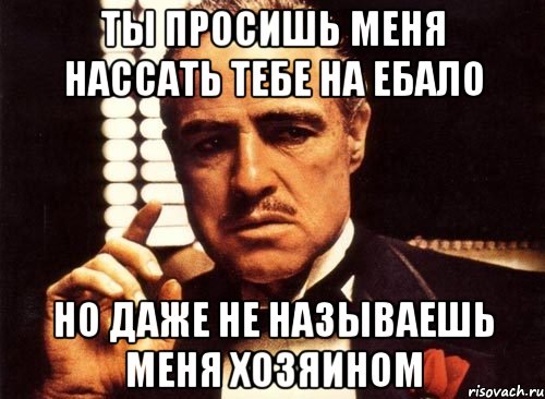 ты просишь меня нассать тебе на ебало но даже не называешь меня хозяином, Мем крестный отец