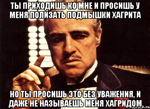 ты приходишь ко мне и просишь у меня полизать подмышки хагрита но ты просишь это без уважения, и даже не называешь меня хагридом, Мем крестный отец