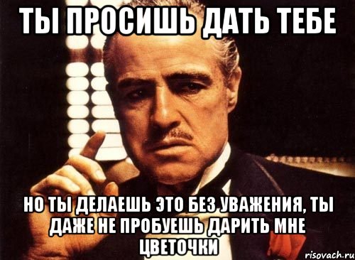 ты просишь дать тебе но ты делаешь это без уважения, ты даже не пробуешь дарить мне цветочки, Мем крестный отец