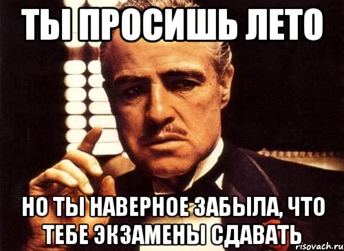 ты просишь лето но ты наверное забыла, что тебе экзамены сдавать, Мем крестный отец