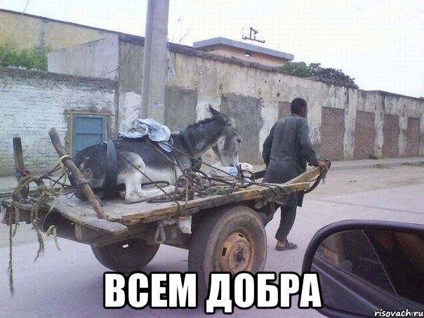  всем добра, Мем m