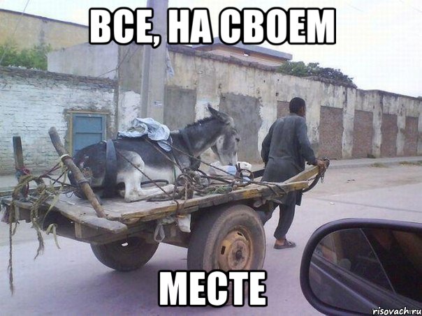 все, на своем месте, Мем m