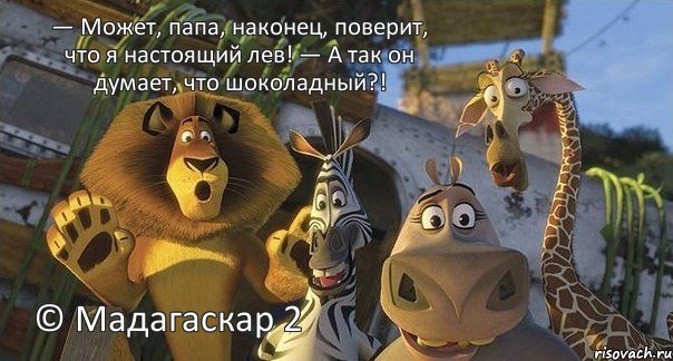 © Мадагаскар 2 — Может, папа, наконец, поверит, что я настоящий лев! — А так он думает, что шоколадный?!, Комикс мадагаскар