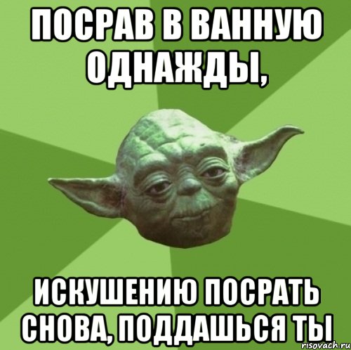 посрав в ванную однажды, искушению посрать снова, поддашься ты, Мем Мастер Йода