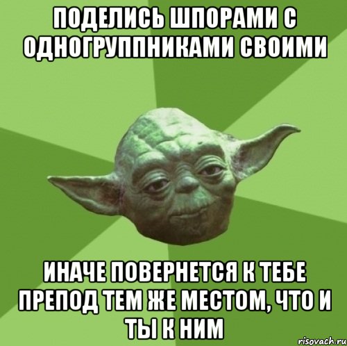 поделись шпорами с одногруппниками своими иначе повернется к тебе препод тем же местом, что и ты к ним, Мем Мастер Йода