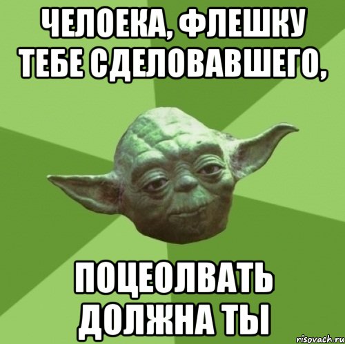 челоека, флешку тебе сделовавшего, поцеолвать должна ты, Мем Мастер Йода