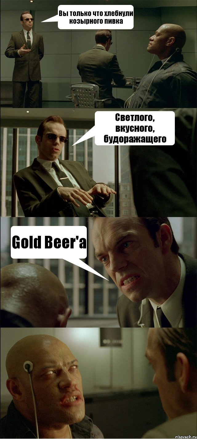 Вы только что хлебнули козырного пивка Светлого, вкусного, будоражащего Gold Beer'а , Комикс Матрица