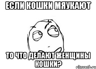 если кошки мяукают то что делают женщины кошки?, Мем Мне кажется или