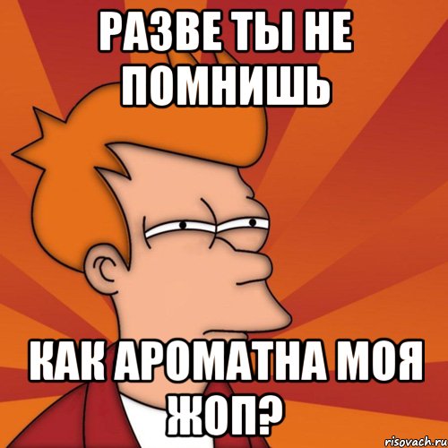 разве ты не помнишь как ароматна моя жоп?, Мем Мне кажется или (Фрай Футурама)