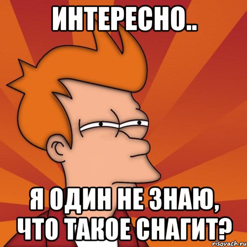 интересно.. я один не знаю, что такое снагит?, Мем Мне кажется или (Фрай Футурама)