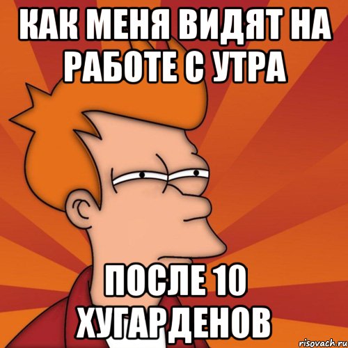 как меня видят на работе с утра после 10 хугарденов, Мем Мне кажется или (Фрай Футурама)